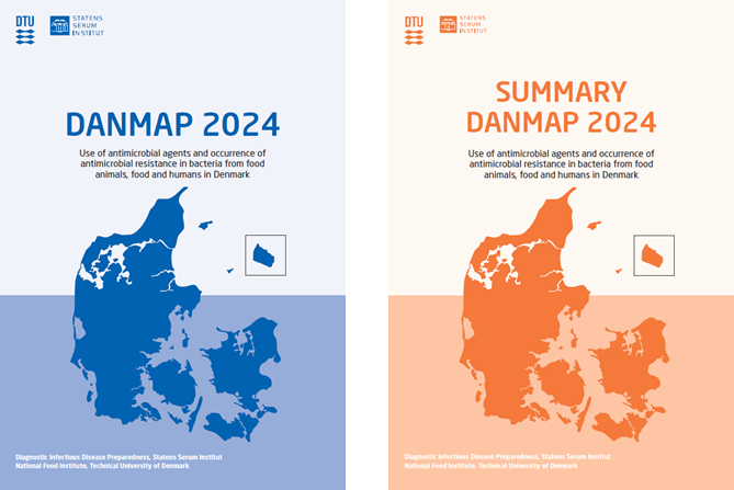 DANMAP 2024