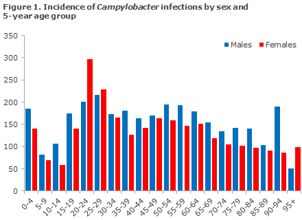 Figure 1 Incidence of campylobacter by sex and 5-year age group