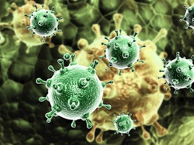 Virology & Microbiological Preparedness
T. +45 3268 8600
@. afdvmb@ssi.dk