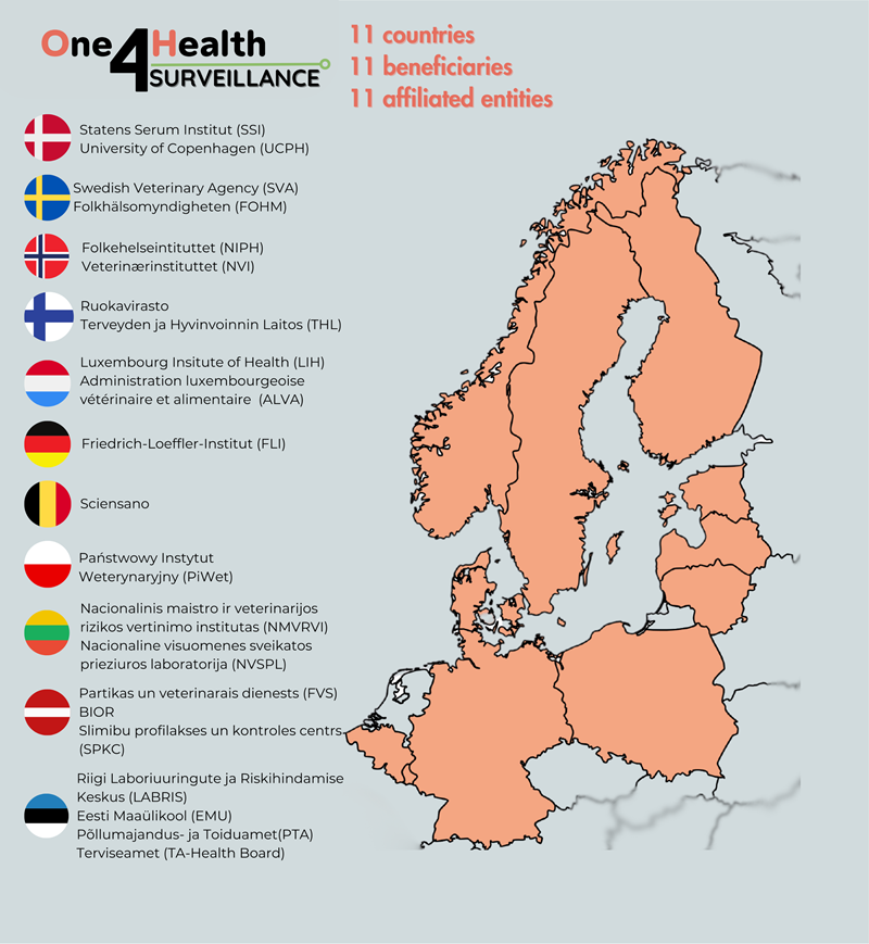Map of Northern and Central Europe highlighting 11 participating countries in the OH4Surveillance consortium. On the left, a list shows the partner institutions, grouped by country, including Statens Serum Institut and University of Copenhagen (Denmark); Swedish Veterinary Agency and Folkhälsomyndigheten (Sweden); Norwegian Institute of Public Health and Veterinary Institute (Norway); Finnish Food Authority and Finnish Institute for Health and Welfare (Finland); Luxembourg Institute of Health and ALVA (Luxembourg); Friedrich-Loeffler-Institut (Germany); Sciensano (Belgium); PIWet (Poland); NMVRVI and NVSPL (Lithuania); FVS, BIOR and SPKC (Latvia); LABRIS, EMU, PTA and TA-Health Board (Estonia). Text notes: 11 countries, 11 beneficiaries, 11 affiliated entities.