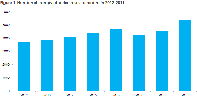 Figure 1. Number of campylobacter cases recorded in 2012-2019