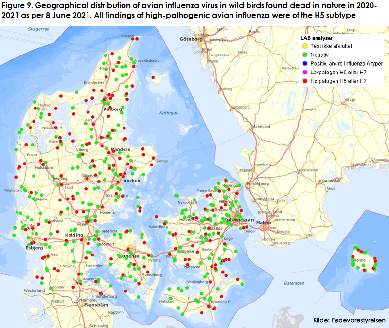 influenza_2020_21_figure9